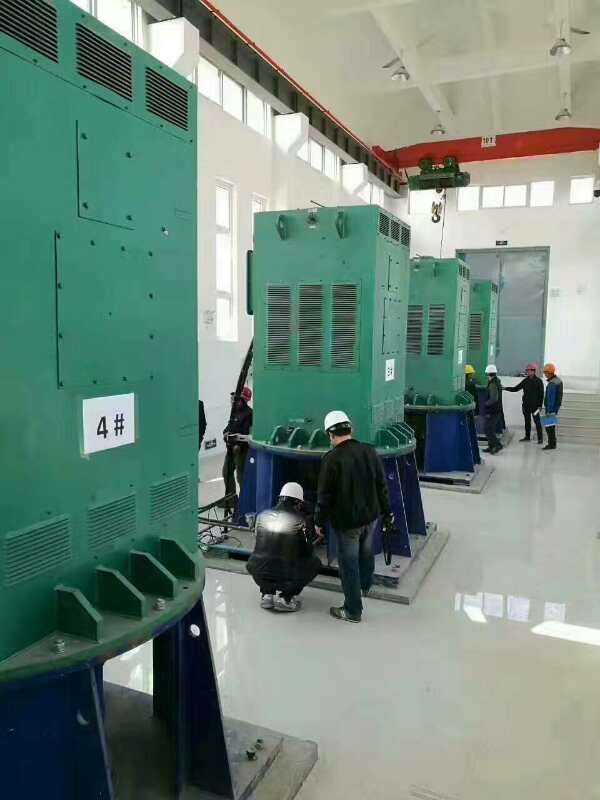 黄江镇某污水处理厂使用我厂的立式高压电机安装现场